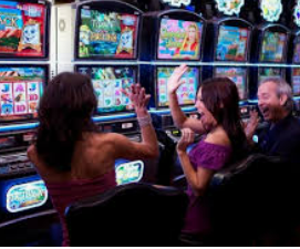 333体育电脑免费版