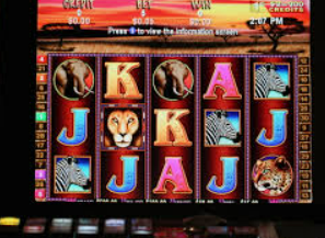 333体育2024最新版